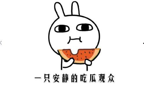 在线吃瓜是什么意思,揭秘“在线吃瓜”现象背后的文化内涵